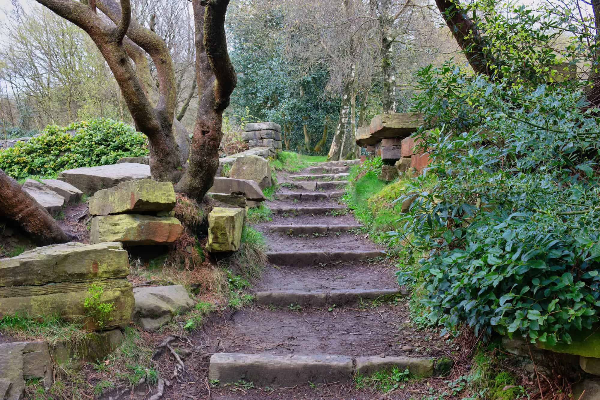 buff butlers in Horwich